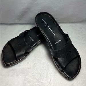 Robert Clergerie Slides